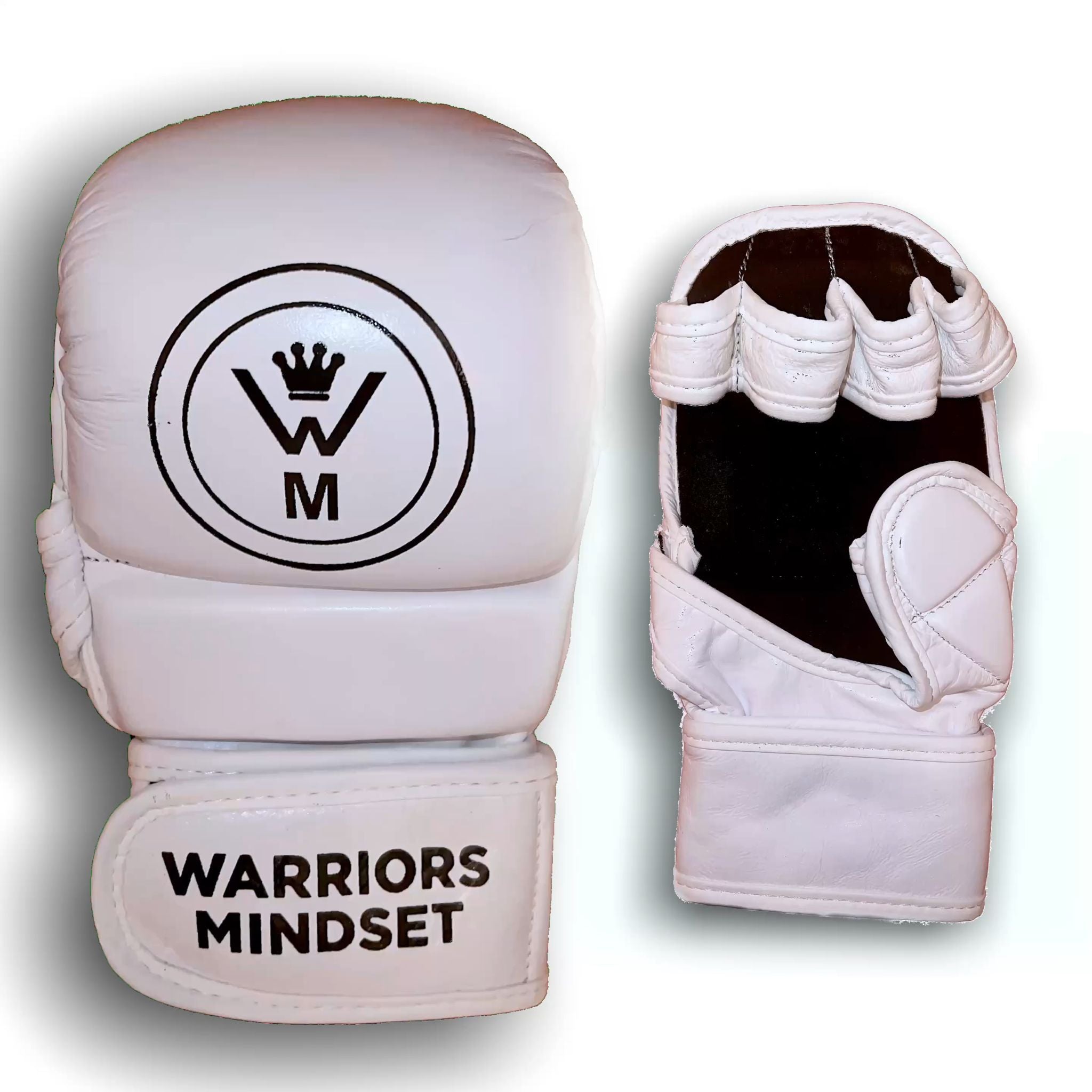 MMA GLOVES - warriors mindset