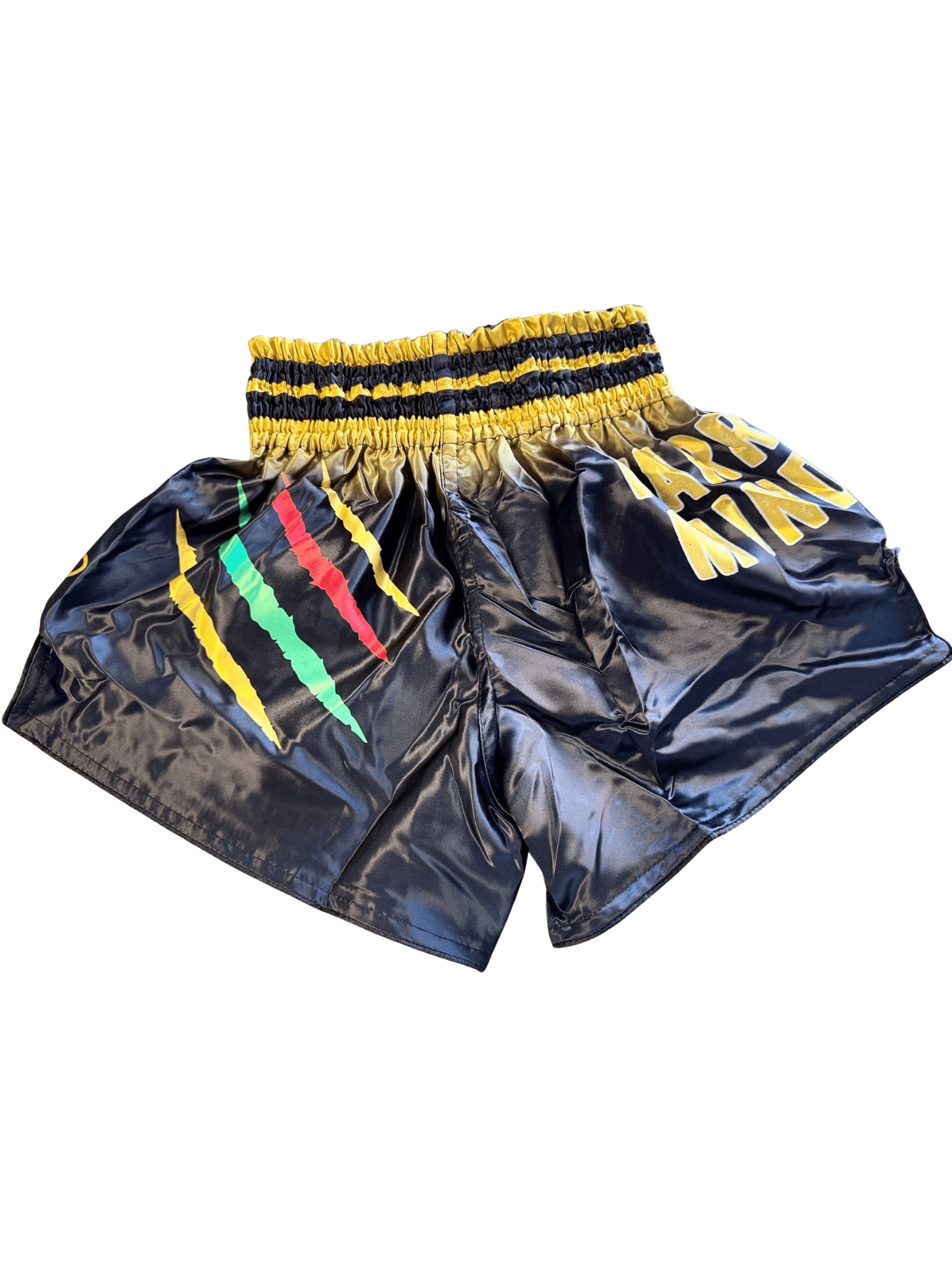 Satin Muay Thai Shorts - warriors mindset